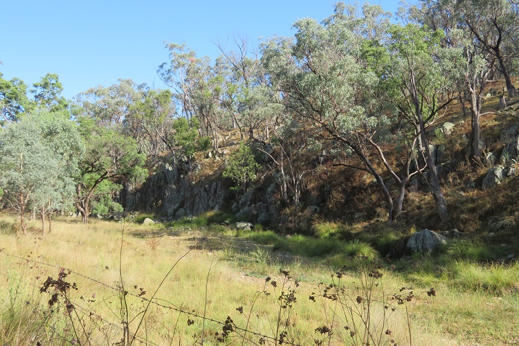 Peaceful dirt roads in the Goolma area on the Central West Cycle Trail