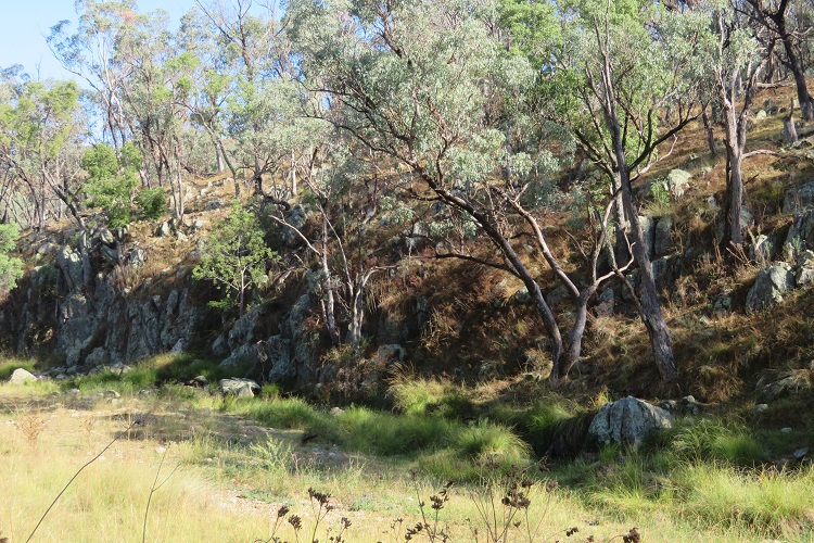 Peaceful dirt roads in the Goolma area on the Central West Cycle Trail