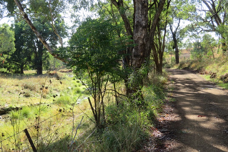 Peaceful dirt roads in the Goolma area on the Central West Cycle Trail