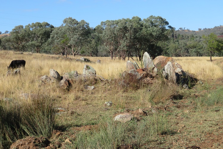 Peaceful dirt roads in the Goolma area on the Central West Cycle Trail