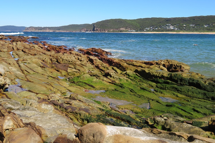 Killcare Beach, Central Coast NSW