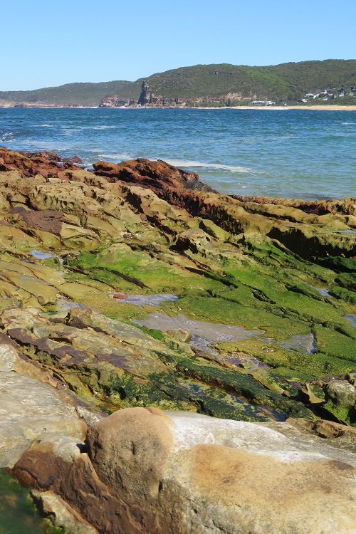 Killcare Beach, Central Coast NSW