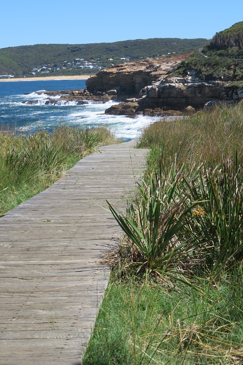 Killcare Beach, Central Coast NSW