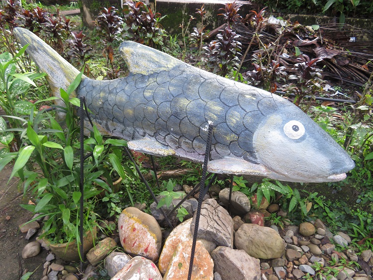 Luanti Fish Spa, Sabah Borneo