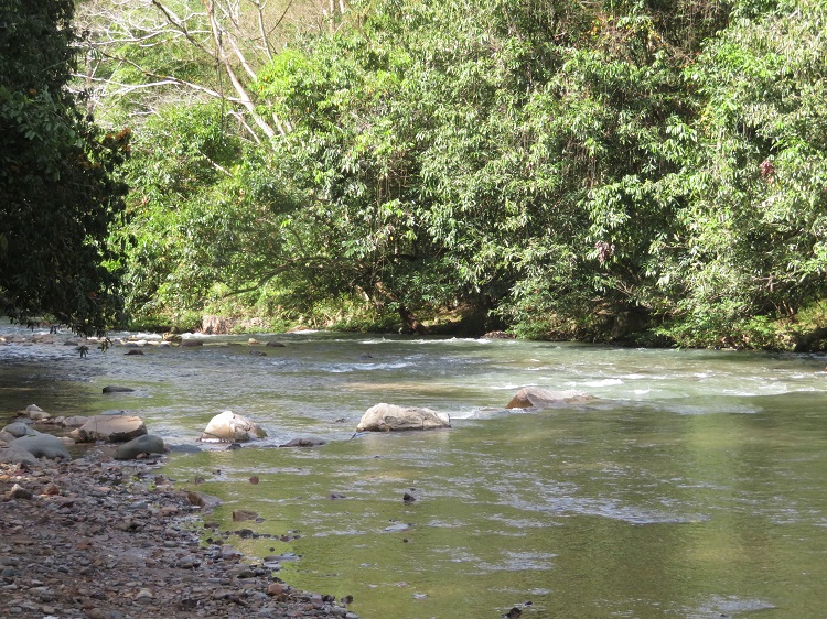 Luanti Fish Spa, Sabah Borneo