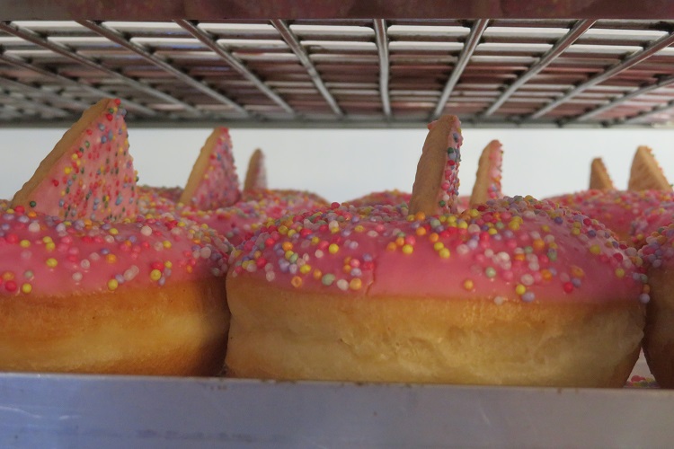 Espresso Boy Doughnuts, Nowra