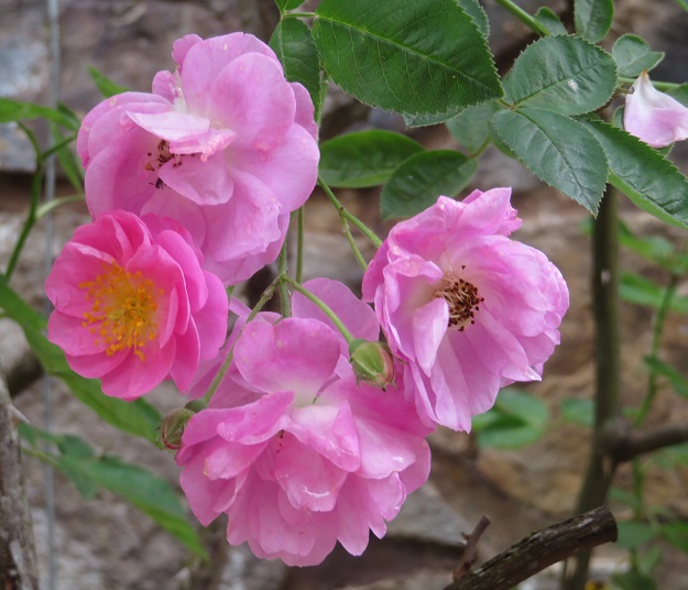 Kundasang War Memorial