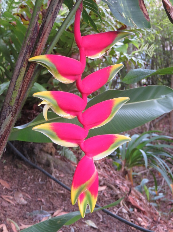 Kundasang War Memorial