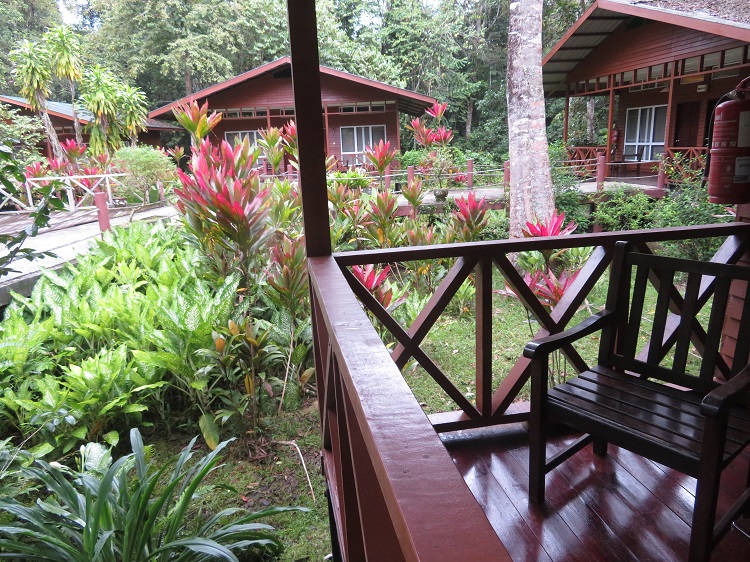 Borneo Nature Lodge on the Kinabatangan River, Sabah