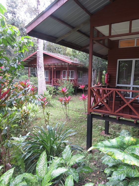 Borneo Nature Lodge on the Kinabatangan River, Sabah