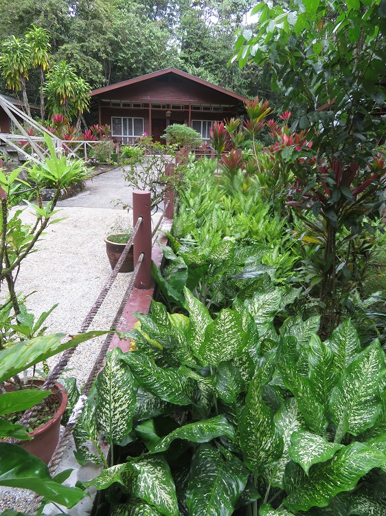 Borneo Nature Lodge on the Kinabatangan River, Sabah