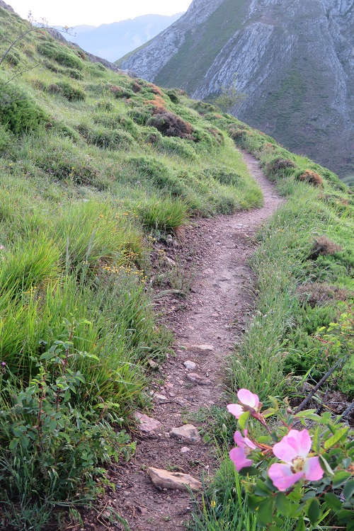 Getting up high on the Camino San Salvador, Spain