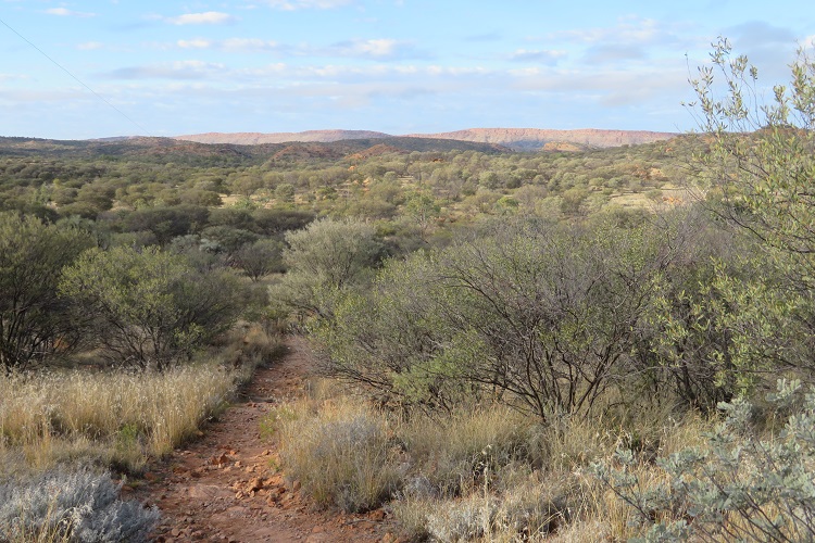 Wide open spaces on the Larapinta Trail