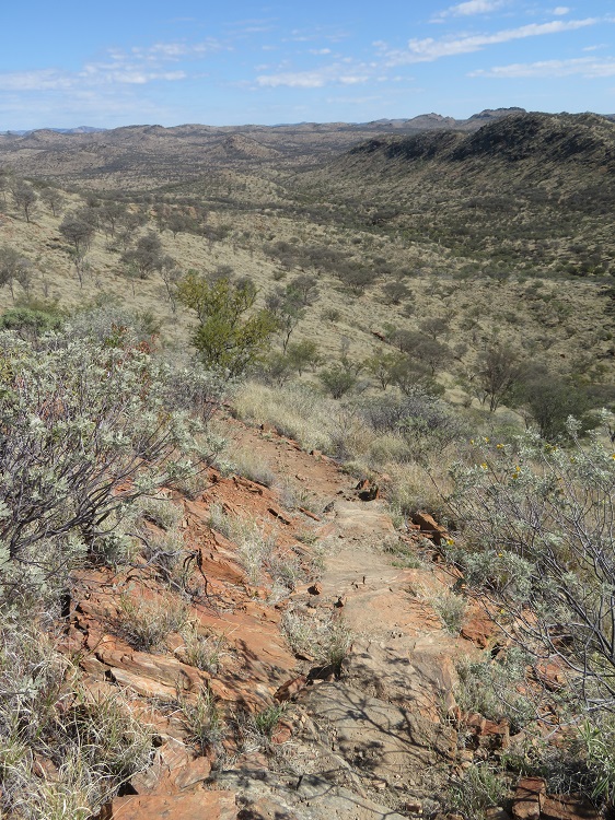 Starting to climb up rocky paths on the Larapinta Trail