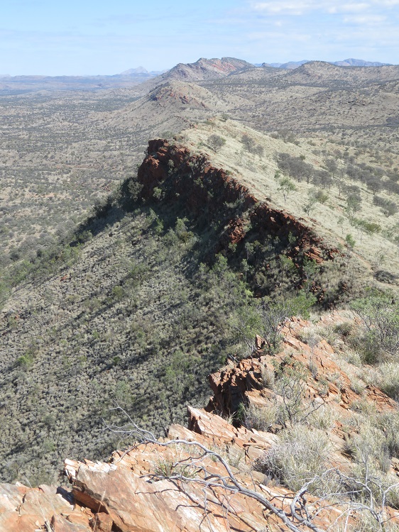 The ridgeline goes on forever on the Larapinta Trail