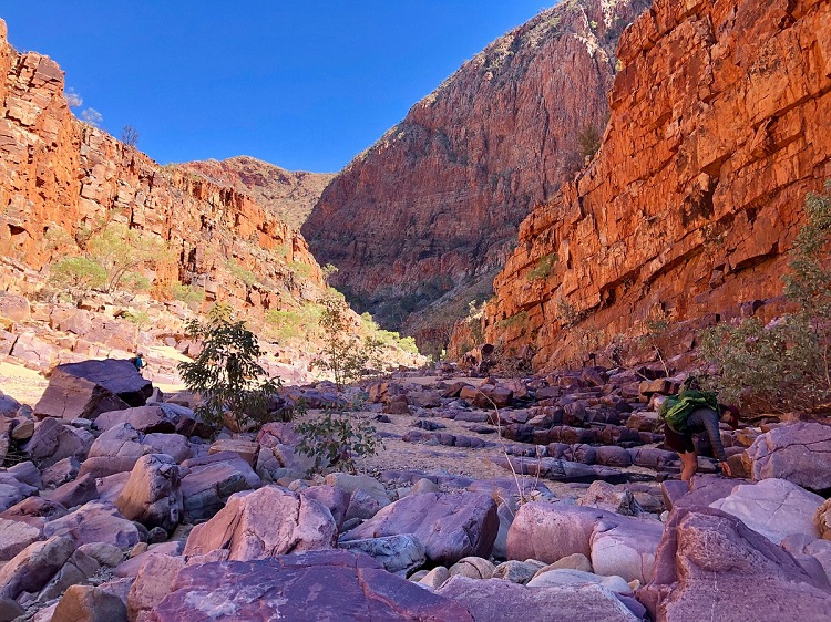 Both the mountains and colours are breath-taking on the Larapinta Trail. Source: TripAdvisor