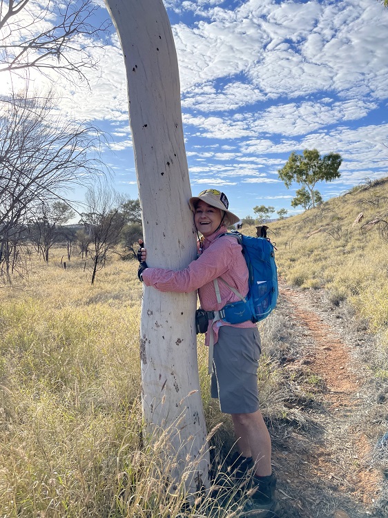 Woodlands Trail near Simpsons Gap, Central Australia