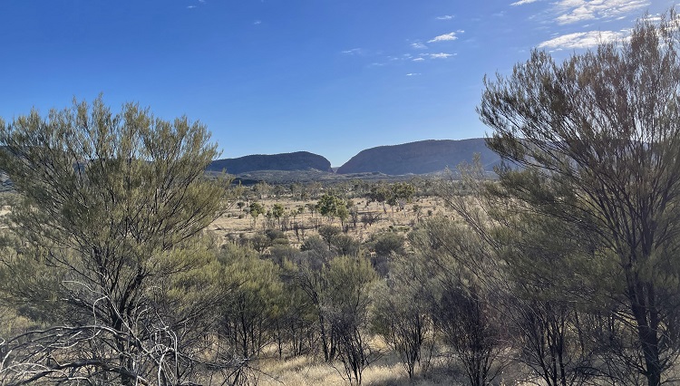 Looking back towards Simpsons Gap, Central Australia.