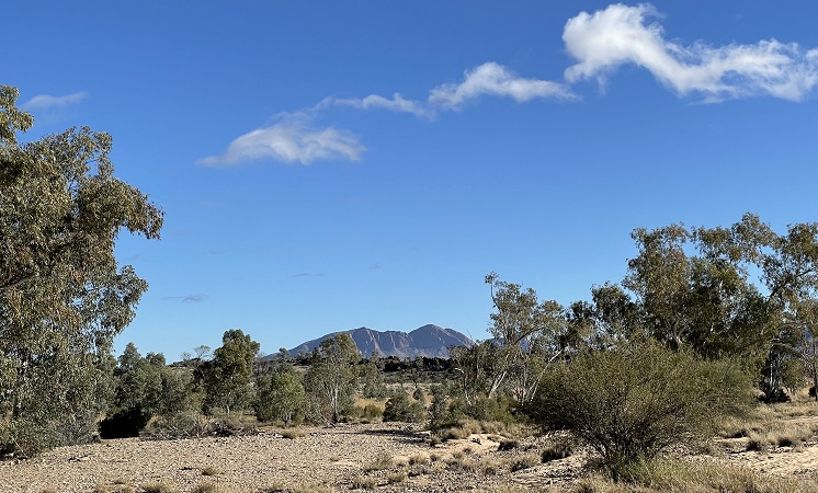 On the banks of the Finke River, Central Australia