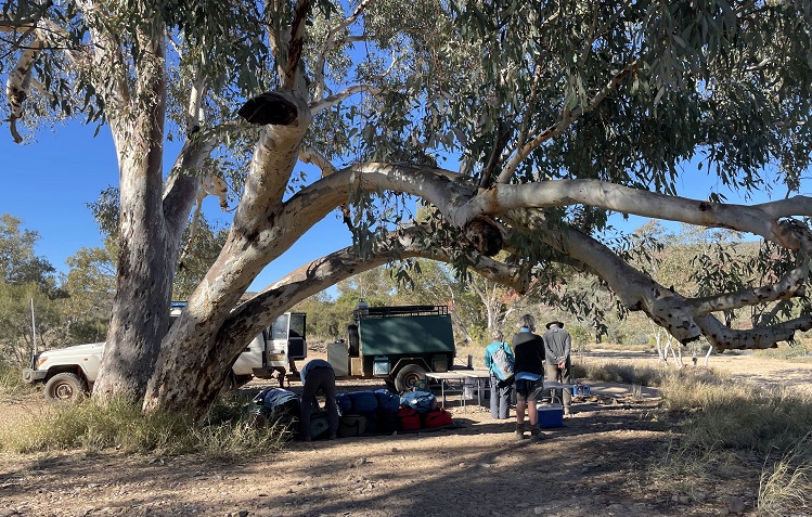 On the banks of the Finke River, Central Australia