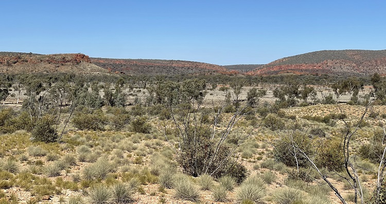 Heading eastwards towards Ormiston Gorge, on the Larapinta Trail