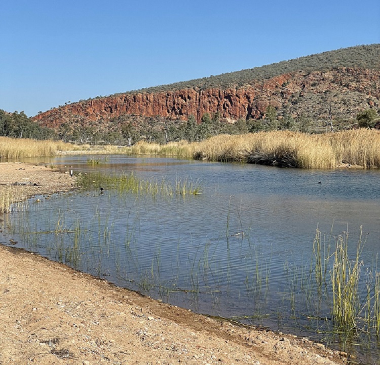 On the banks of the Finke River, Central Australia