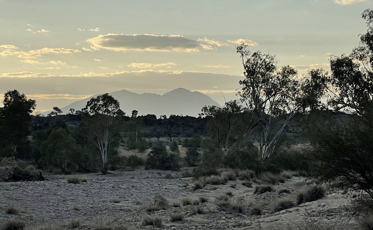 On the banks of the Finke River, Central Australia