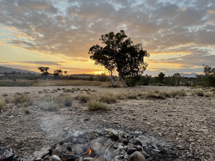 On the banks of the Finke River, Central Australia