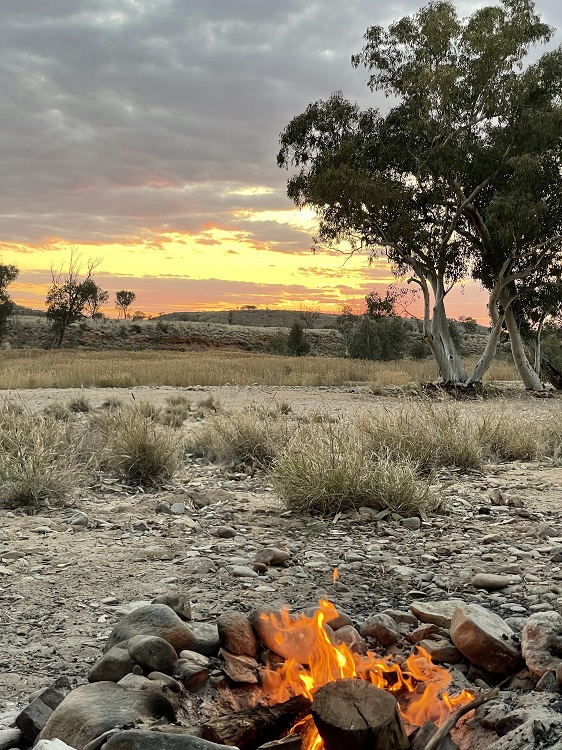 On the banks of the Finke River, Central Australia
