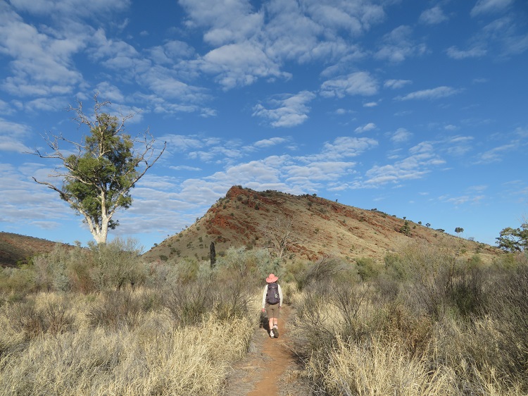 Walking on the Woodlands Trail near Simpsons Gap, Central Australia