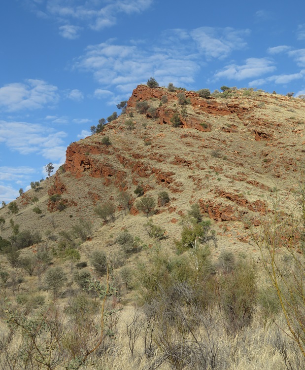 Walking on the Woodlands Trail near Simpsons Gap, Central Australia