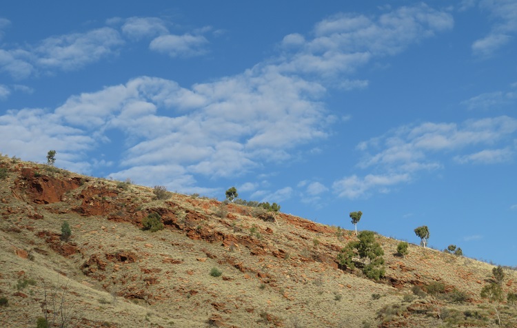 Walking on the Woodlands Trail near Simpsons Gap, Central Australia