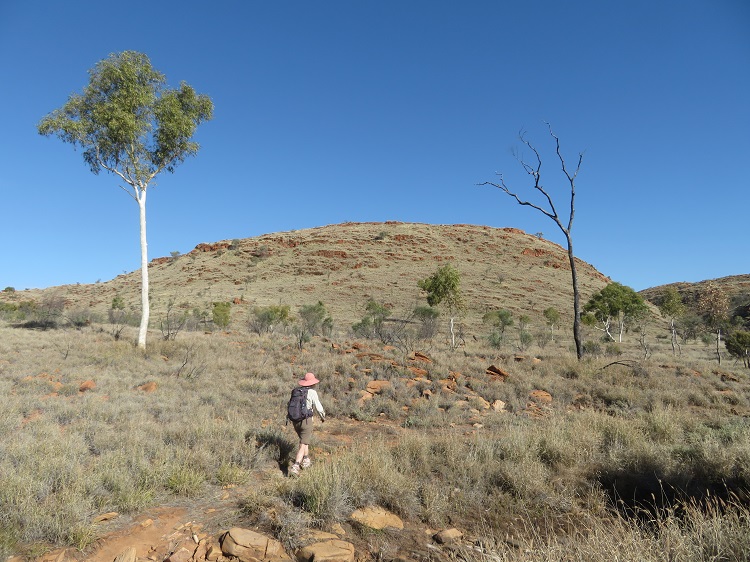 Walking on the Woodlands Trail near Simpsons Gap, Central Australia