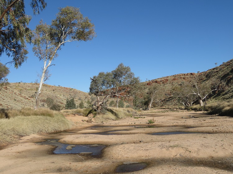 Walking on the Woodlands Trail near Simpsons Gap, Central Australia