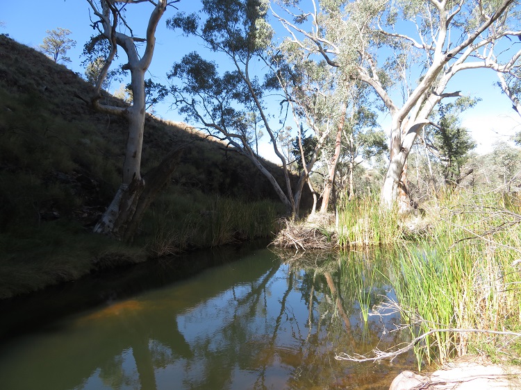 Bond Gap near Simpsons Gap, Central Australia