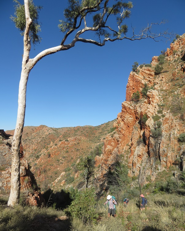 Rock scrabbling near Standley Chasm on the Larapinta Trail, Central Australia