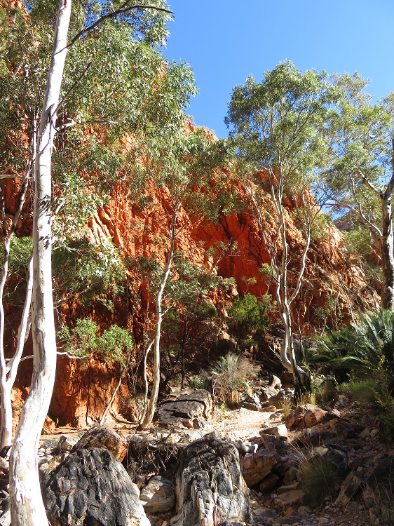 Rock scrabbling near Standley Chasm on the Larapinta Trail, Central Australia