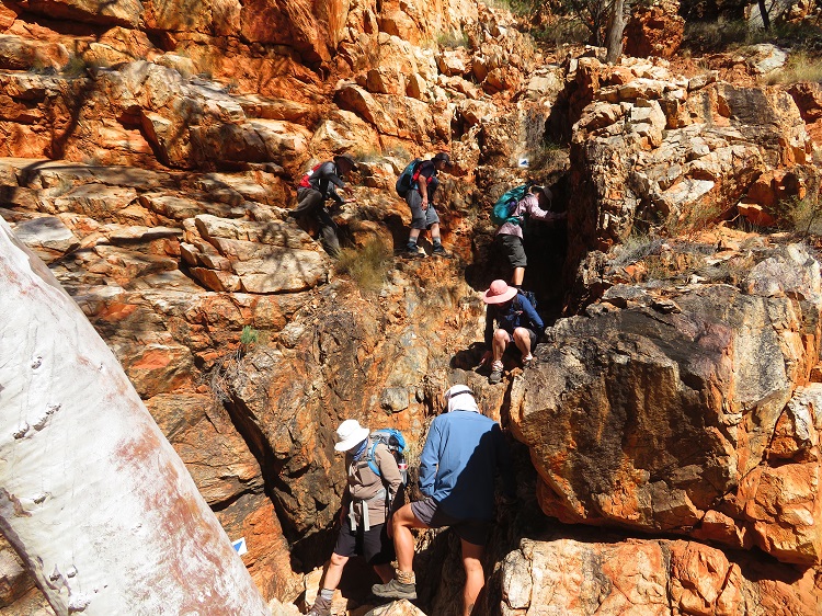 Rock scrabbling near Standley Chasm on the Larapinta Trail, Central Australia