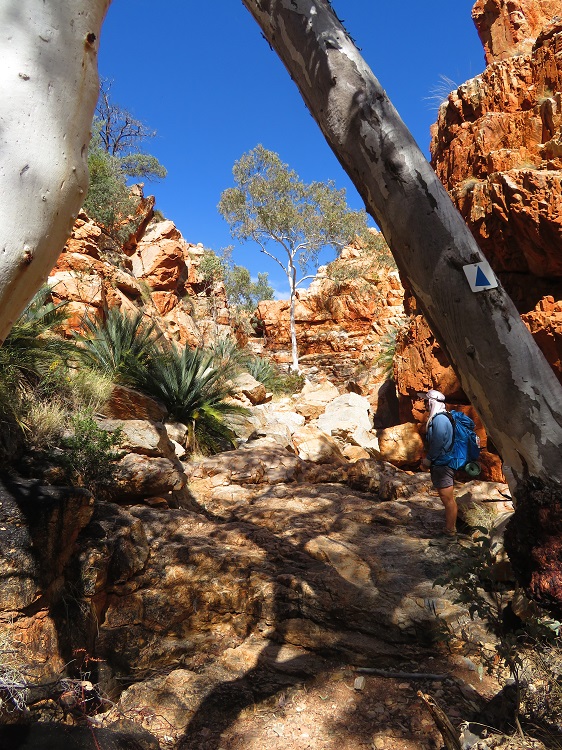 Rock scrabbling near Standley Chasm on the Larapinta Trail, Central Australia