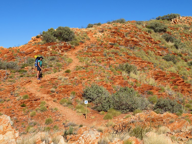 Heading up to Brinkley Bluff