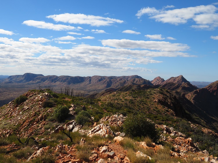 Views from up top of Brinkley Bluff