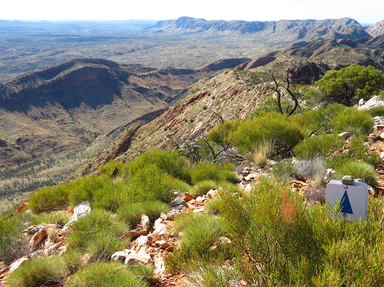 Views from up top of Brinkley Bluff