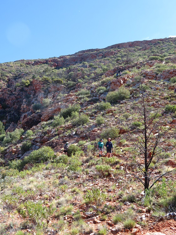 Heading down from Brinkley Bluff