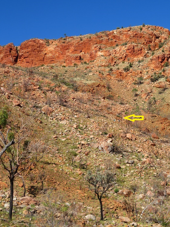 Heading down a steep path on the Larapinta Trail