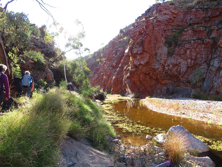 Headig up Hugh Gorge o the Larapita Trail