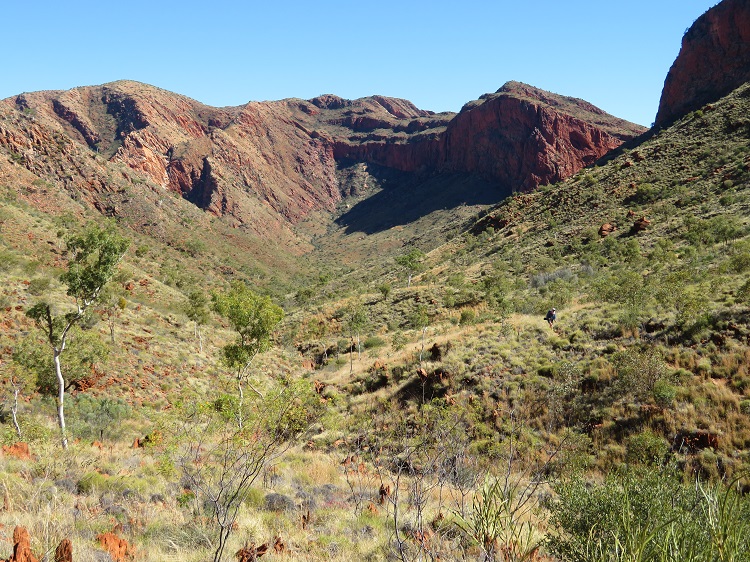 Stunning views on the Larapinta Trail