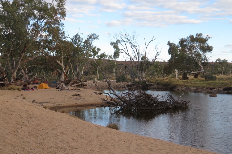 Birthday Waterhole on the Larapinta Trail