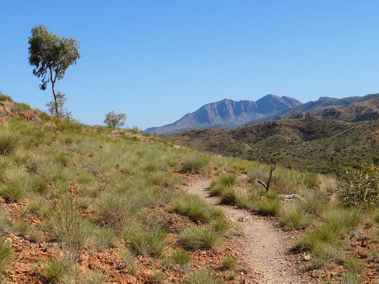 Mt Sonder views from the Larapinta Trail