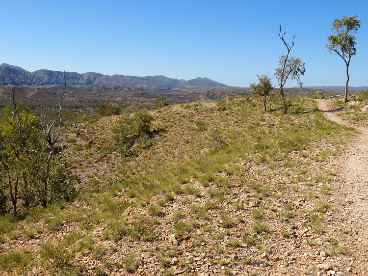 Eastern views from the Larapinta Trail