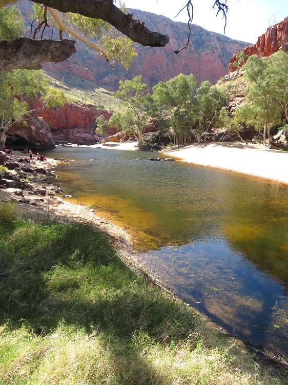 Ormiston Gorge on the Larapinta Trail